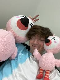 Big Fluffy Boyz In 2020 Flamingo Pictures Flamingo Plush Flamingo Photo