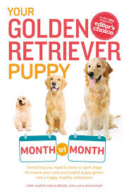Deze golden retriever kennels werken volgens de richtlijnen van het international quality breeders logo! Your Golden Retriever Puppy Month By Month Ebook Door Terry Albert 9781465450364 Rakuten Kobo Belgie
