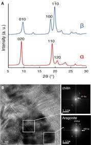 153/2017, cu modificările şi completările ulterioare, şi cu încadrarea în sumele prevăzute pentru cheltuieli de personal din bugetul de venituri şi cheltuieli aprobat. Progress In Chitin Analytics Sciencedirect