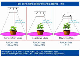 Does a plant grow better in sunlight or artificial light? 11 Easy Guidelines To Know Before Buying Grow Lights