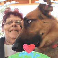 Hi everyone!! ISO recs for a good orthopedic dog bed for our Abby who turns  9 next month!! I've found a couple online but would love to hear from y'all  about any