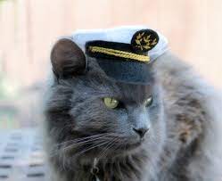 Original Design Pet Costume Marine Captain Mini Hat Cat Etsy Hats For Cats Hat For Cat Cat Costumes