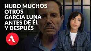 Proyecto final_Audiencia de Apelación_Ana Narez