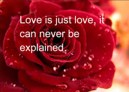 Happy Rose Day Whatsapp Dp Wallpapers Profile Pic Hd Images Wishes Photos Sms In Hindi Valentines Day Love Quotes Happy Valentine Day Quotes Valentine Quotes