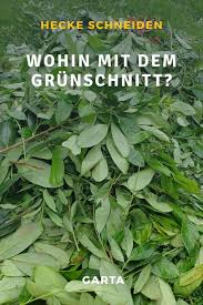 Hecke Schneiden Wo Hin Mit Dem Grunschnitt Und Gartenabfall In 2020 Grunschnitt Garten Gartenabfall