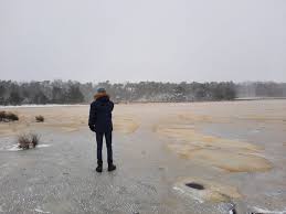 In natuurreservaat het leersumse veld waagden de eerste schaatsers zich gisteren op het prille natuurijs. Koudegolf 2021 Dag 2 En Dan Nu De Diepvries In Vakantieweer Nu