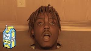 Spca puppies adoption / animal friends humane society Juice Wrld Dead At 21 After Seizure In Chicago Final Moments Captured