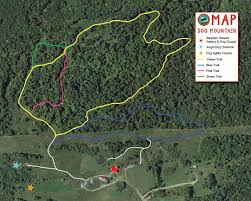 We commit to rescuing and rehoming dogs from vermont and numerous southern states, while we educate and raise awareness of dog rescue. Plan Your Visit Dog Mountain Vt Stephen Huneck