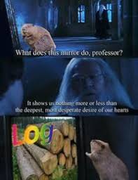 Beaver Log Image Gallery List View Memes Funny Pictures Quality Memes