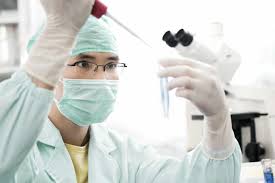 Differences Between In Vivo And In Vitro Studies