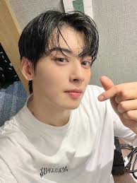 Cha Eun Woo Astro Concert in Japan