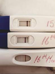 Causes of a false positive test result: How Long To Wait To Take Pregnancy Test After Implantation Bleeding Pregnancywalls