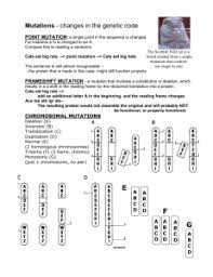 Selection natural gizmo answers exploration student worksheet key answer evolution coursehero pdf date course hero docx geiger. Mutation Webquest 2016 2