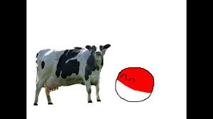 The 2 Cows Of Capitalism Youtube