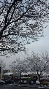 Downtown Bellingham Wa February 27 2017 Bellingham Outdoor Washington