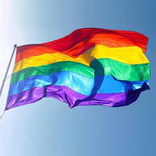 Ben je lesbisch, homoseksueel, biseksueel, transgender of ben je een intersekse persoon? Bol Com Lhbti Vlag Regenboogvlag Gay Pride L Xl 150x90cm