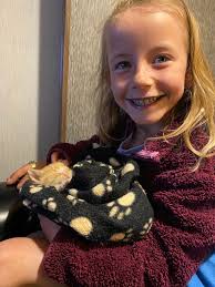 Travis Perry's Progress in College Basketball