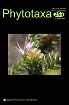 Image result for Rhytachne