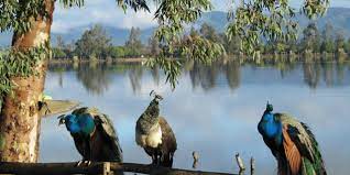 Check spelling or type a new query. Camping Laguna Esmeralda Santiago De Chile