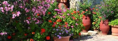 Den flair eines mediterranen gartens kann man zum glück recht gut auf unsere gärten übertragen. Mediterraner Garten Anlage Und Gestaltung Toom Baumarkt