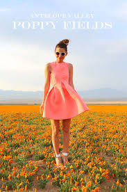 Check spelling or type a new query. Poppy Fields Kelly Golightly