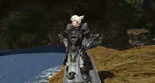 In pvp duties, adrenaline rush will replace the limit break action and, unlike limit break, can be used by single players. The Top 100 Glamour From The Feast Season 18 R Ffxiv