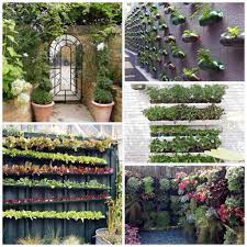 I think i'd do that or the gutters over the soda bottles. How Do You Solve A Problem Like A Breeze Block Wall Pebbledashed Pad