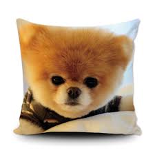 Pomeranian Puppy Print Pillowcase Nice Cool Cute puppy coloring pages to print,puppy pictures to print,puppy coloring pages for adults,realistic puppy coloring pages,printable puppy pictures,pictures of puppies to color and print,kitty coloring page,coloring pages puppies,dog pictures to print,,cute dog coloring pages.