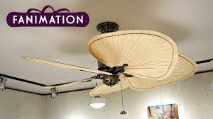 Buyceilingfan.com 1.877.444.0076 top of page terms & conditions. Fanimation Islander Ceiling Fan Youtube