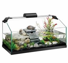 Aquarium Einrichtung Sorgt Fur Das Wohlfuhlen Der Wassertiere Archzine Net Aquarium Einrichten Wasserschildkroten Aquarium Aquarium