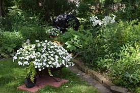 I'm guessing they like being out of the ground because they originate in warm climates and the pots allow the roots. Summer Containers For Shade My Year Of Living Dangerously But In A Boring Way Gardeninacity