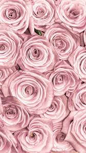 Discover a gold world of inspirations at insplosion black and gold wallpaper iphone 6 cool hd wallpaper. Beautiful Pink Flowers For Your Branding Aesthetic Rose Gold Wallpaper Iphone Gold Wallpaper Iphone Gold Wallpaper Background