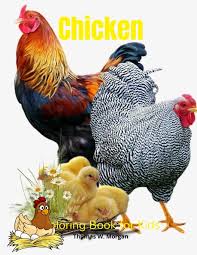 Chicken a bird bred both for its meat and its eggs, among the most used in the alimentation. Chicken Coloring Book For Kids Funny Chicken And Rooster Coloring And Activity Book For Kids Best Gift For Children Chickens Coloring Pages With Cute Chicks Roosters And More 9785790933363 Amazon Com Books