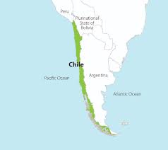 We will have the full match highlights of argentina vs chile right here after the game is over. Chile Forest Carbon Partnership Facility