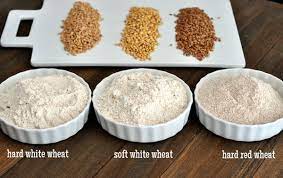 So, to get wheat, you have to put on your exploration hat. Wheat And Wheat Grinding 101 The Wheat Types Where To Buy And What To Make Wheat Recipes Food How To Make Flour
