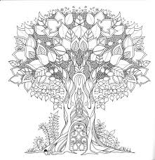 Enchanted Forest Colouring Book Basford Coloring Book Enchanted Forest Coloring Book Forest Coloring Book