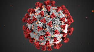 Çfarë është koronavirusi? Images?q=tbn:ANd9GcStBom9JmX0tRKb1L5puKkUG7vB3SMvgGT_Ug&usqp=CAU