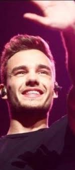 EL NUEVO ZAYN MALIK ° ||||| (ZAYN Y TU) |||||