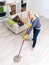 Starting A Cleaning Business Anago Cleaning Services Can Get You Started Today How To Clean Carpet Carpet Cleaning Solution Natural Disinfectant