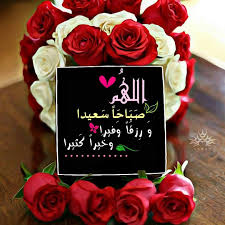Pin By Sophia Azzam On بطـاقـات صبـاحيـة واسـلاميـة Morning Greeting Flowers Rose