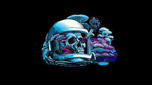 4k ultra hd 8k ultra hd. Blue Skull With Helmet Illustration Mushrooms Skull Helmet Hd Wallpaper Wallpaperbetter