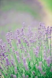 Blog — Funkhouse Photography