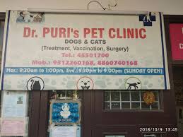 There is an amazing staff and they have simply the best doctors. Best Veterinary Doctors In Delhi Instant Appointment Booking View Fees Feedbacks Practo