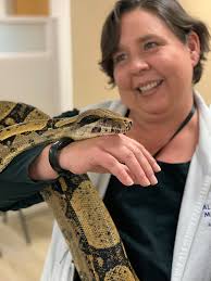 TMH Animal Therapy welcomes its newest therapy animal, William Snakespeare,  a boa constrictor. 🐍 William Snakespeare is the first snake available for  therapeutic services in our region but snakes have been successfully