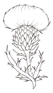 Tattoo Flash And Sketches By Metacharis On Deviantart Thistle Flower Tattoo Thistles Art Thistle Flower