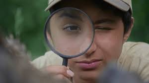 3,589 Ant Eye Stock Video Footage