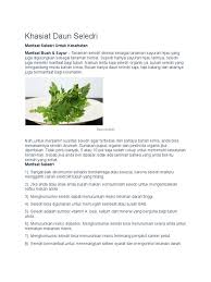 Daun sup bukan sahaja dijadikan sebagai pelengkap masakan dengan aromanya yang memikat selera, namun kini boleh mendatangkan khasiat kesihatan yang pelbagai kepada kita. Khasiat Daun Seledri