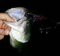 Night Fishing With A Booyah Buzz Bait Fun Fish Best Bass Lures Night Fishing