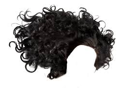 Download Hair Png 3 Hq Png Image Freepngimg Choose from 20000+ hair graphic resources and download in the form of png, eps, ai or psd. download hair png 3 hq png image