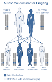 Hauptsächlich betroffen sind die bronchien und die. Erbkrankheit Wikipedia